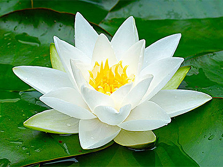 www.yaxin55.com