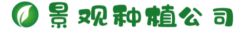 www.yaxin55.com